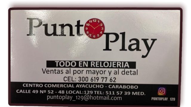 Logo Punto Play